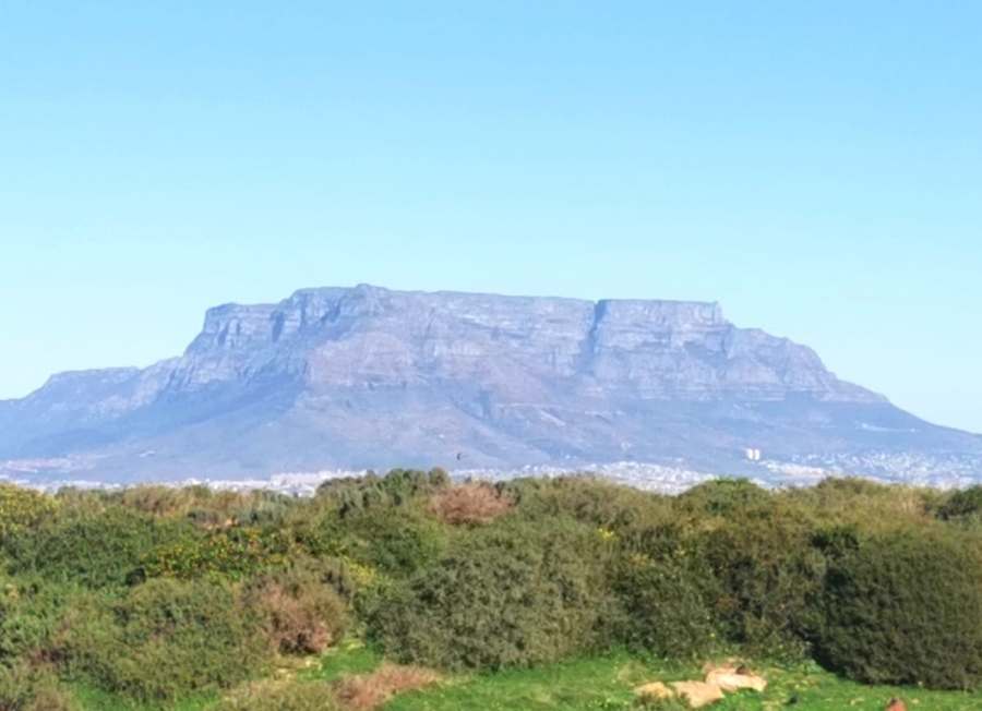 0 Bedroom Property for Sale in Baronetcy Estate Western Cape